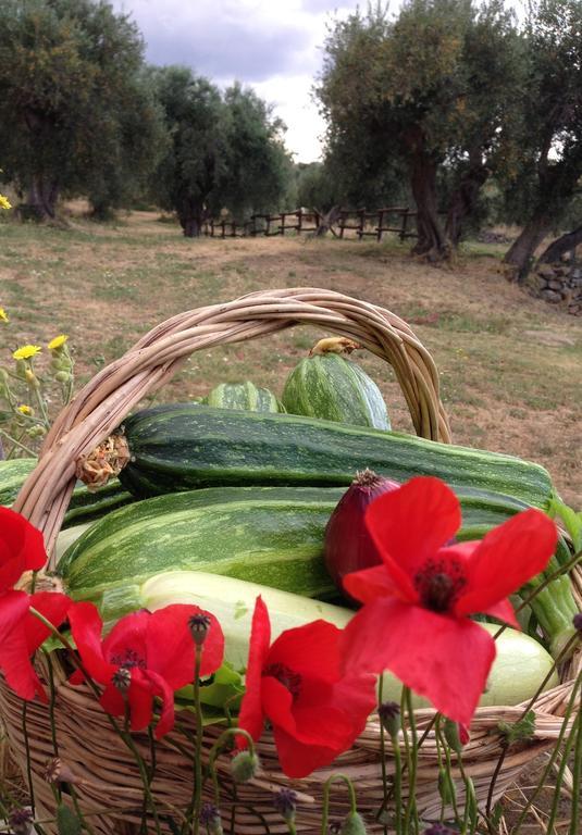 Agriturismo Prati Degli Orti 몬티아노 외부 사진