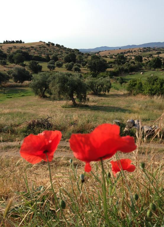 Agriturismo Prati Degli Orti 몬티아노 외부 사진