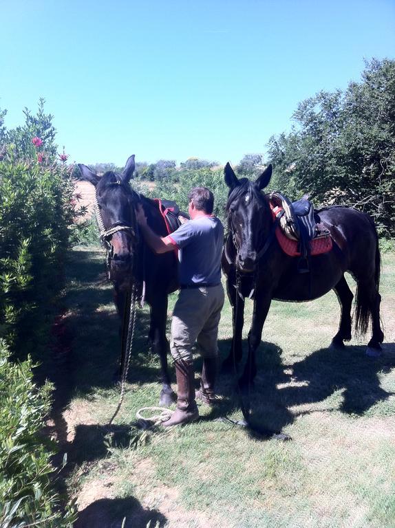 Agriturismo Prati Degli Orti 몬티아노 외부 사진