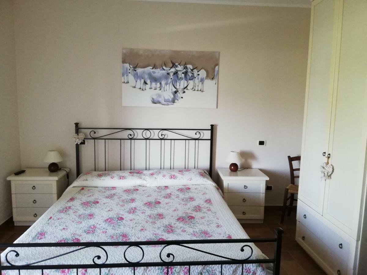 Agriturismo Prati Degli Orti 몬티아노 외부 사진