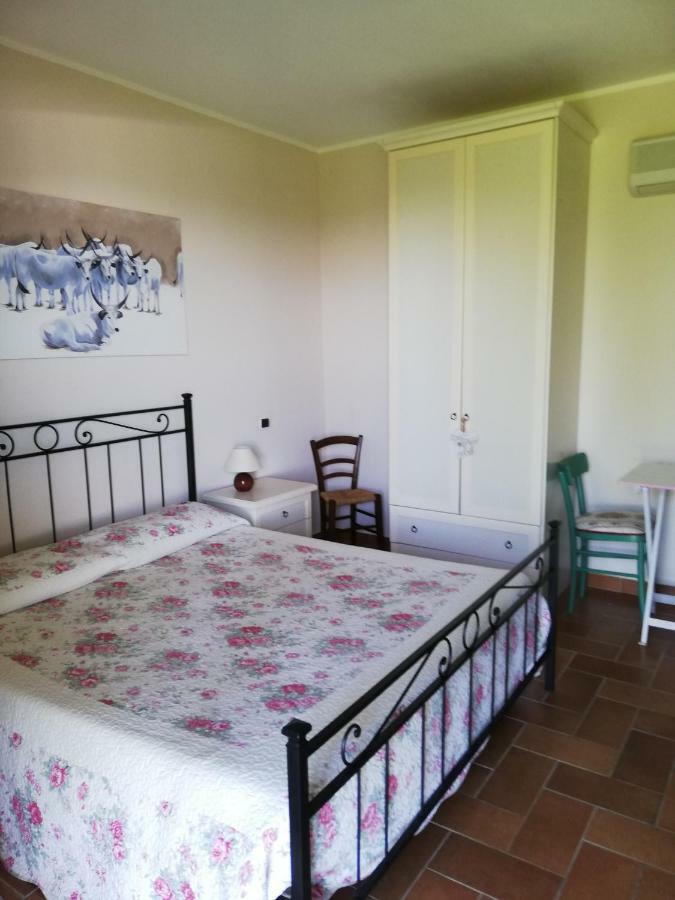 Agriturismo Prati Degli Orti 몬티아노 외부 사진